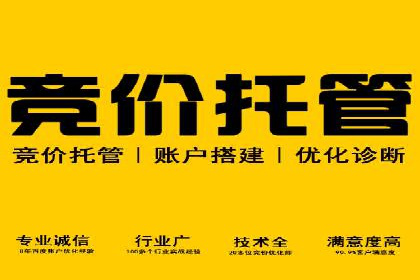 某某SEM公司助力企业实现营销目标——一则成功案例